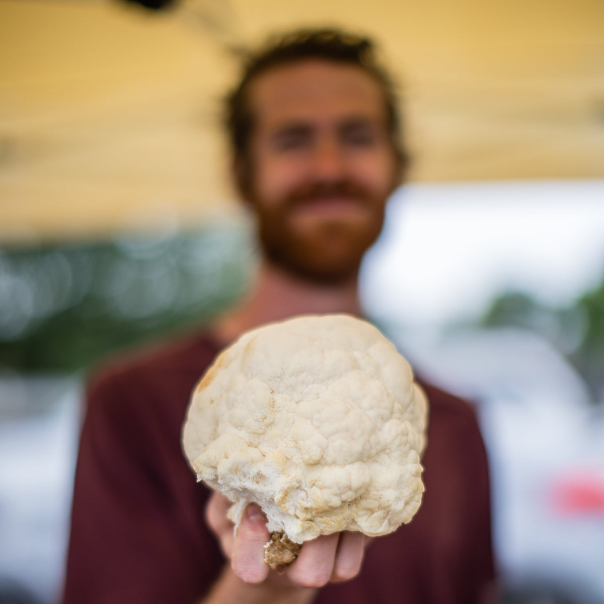 The founder holding a large clump of Lions Mane with a blurred background