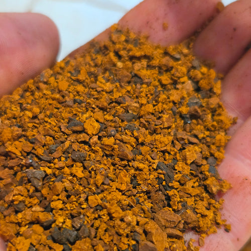 Founder, Nick, holding out a handful of ground Chaga Mushrooms