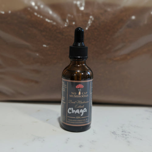 A bottle of Chaga extract tincture with a black dropper cap, placed next to a clear plastic bag containing ground chaga powder.